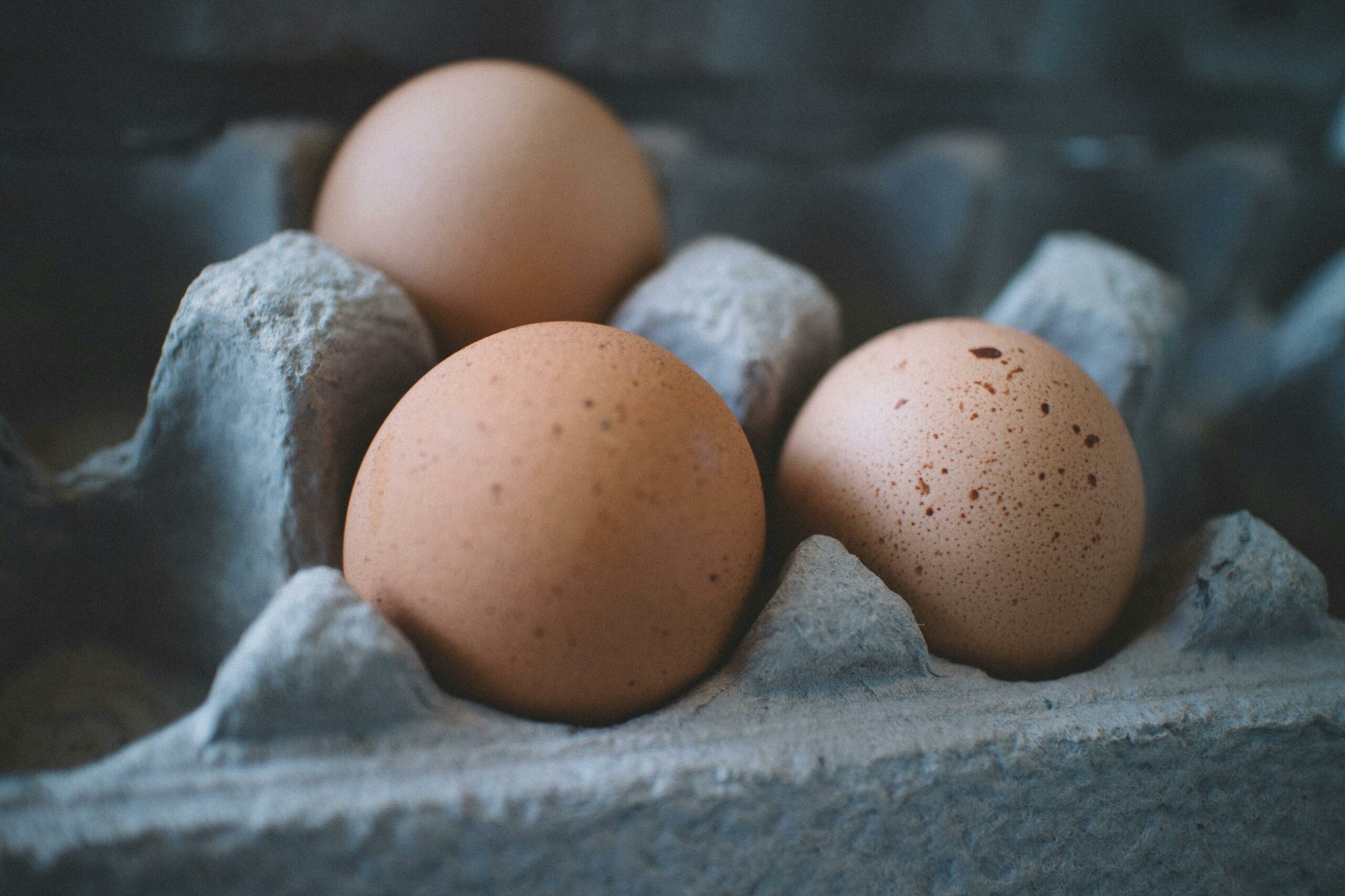 Difficultés des producteurs d'œufs